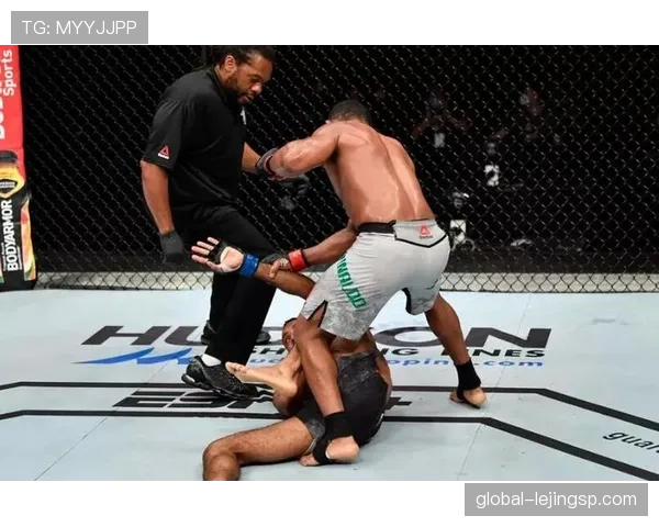 裁判权威如何界定？规则赋予的判罚边界在哪